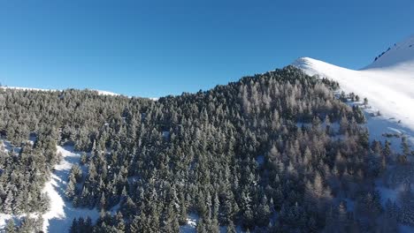 Flying-over-snowy-woods-on-a-the-side-of-a-mountain,-discovering-a-valley.